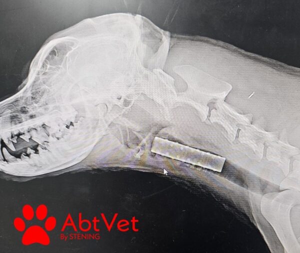 Stents de Silicone – Linhas VST e VSTX - R$ 3.100,00 em 3X no cartão ou 5 % de desconto no pix/boleto. CONSULTE-NOS! - Image 2